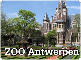Dierentuin Zoo Antwerp